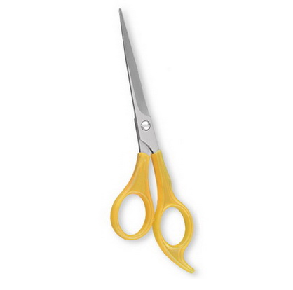 Plastic Handle Hair Cutting Scissors