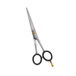 Hair Dressing Scissors Without Color